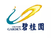 大田碧桂园地产